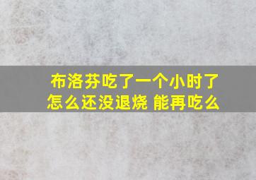 布洛芬吃了一个小时了怎么还没退烧 能再吃么